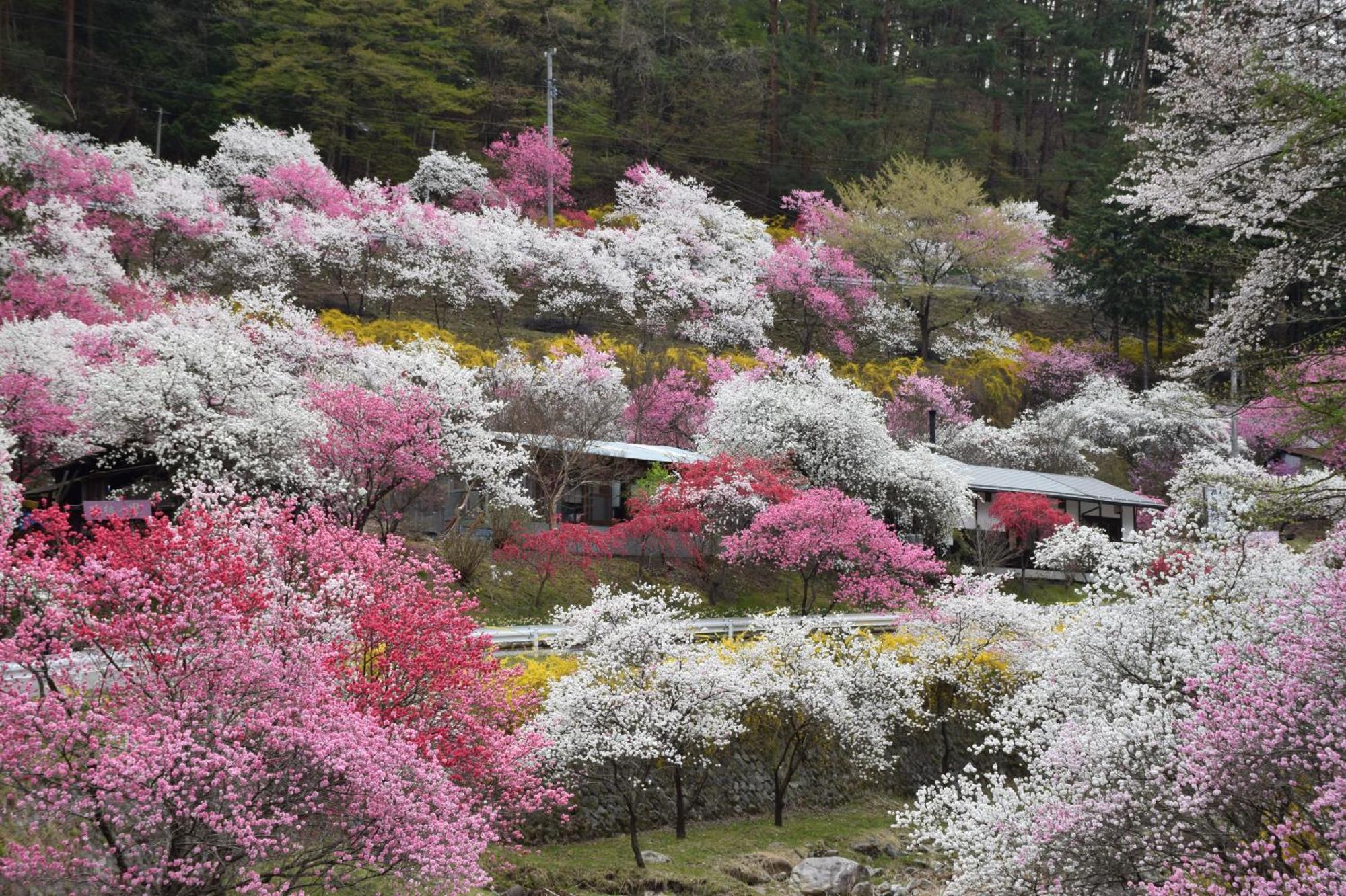 Hotel Yamabuki Komagane Esterno foto
